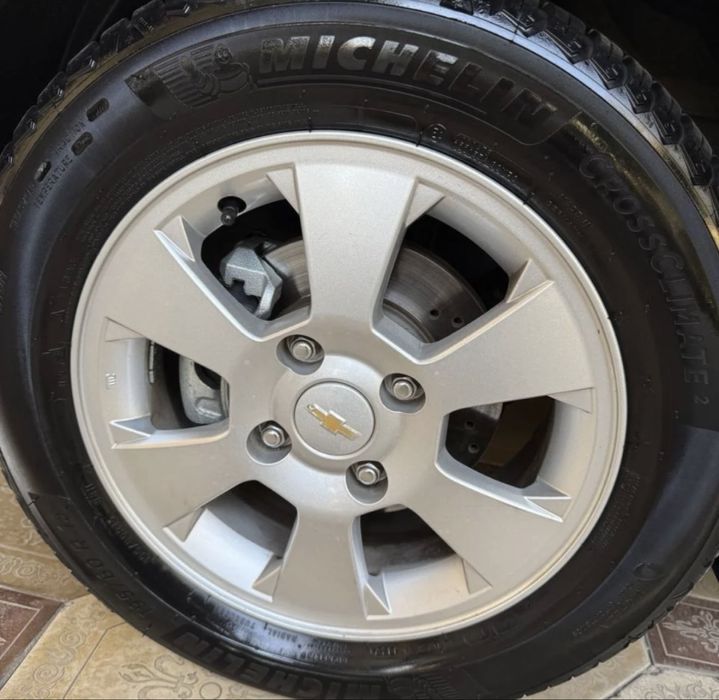 Жентра 2023 тоза