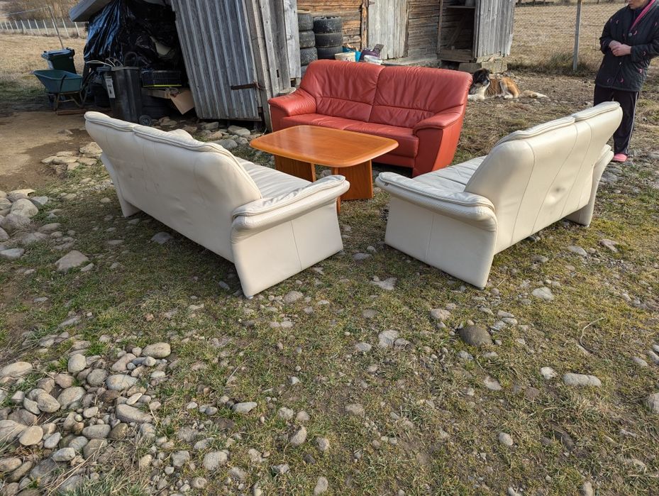 canapele piele naturala