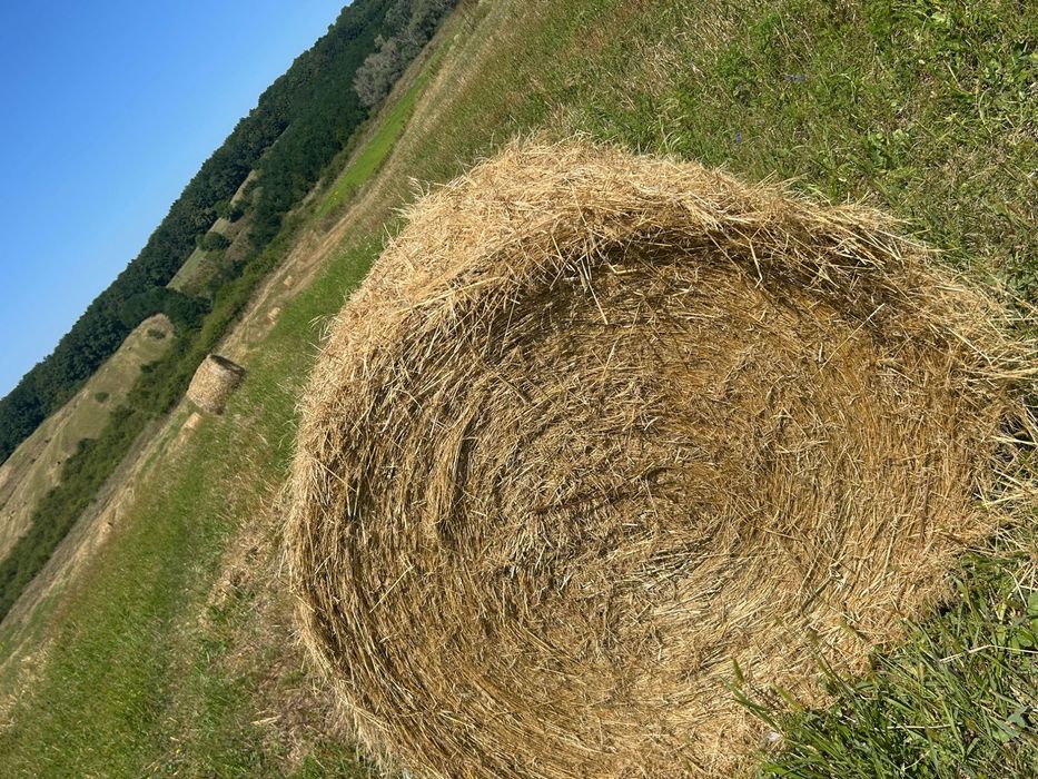 Vând Baloti fan 2025