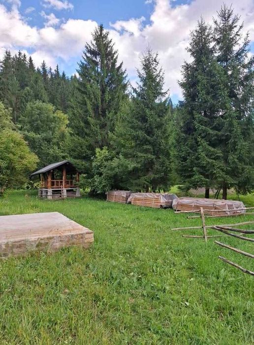 Cabana Grinties (10km de Durau) 6000mp intravilan + 1 ha padure