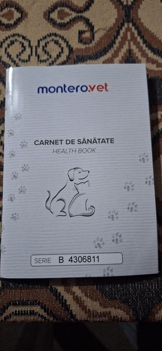 Pui pisica British color point