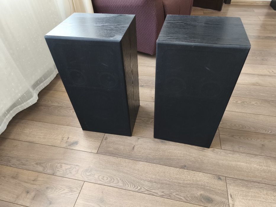 Boxe Cat Berlin Disco