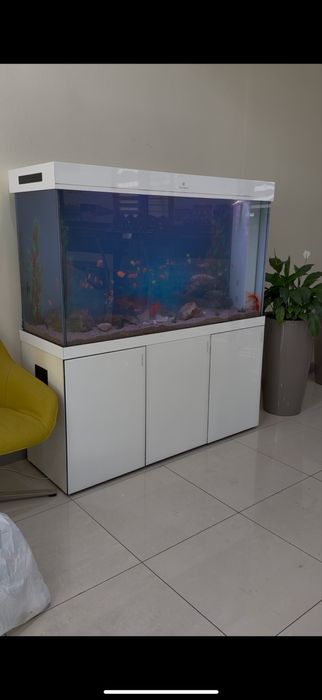 Чистка аквариумов , замена воды аквариума , Профессиональная чистка