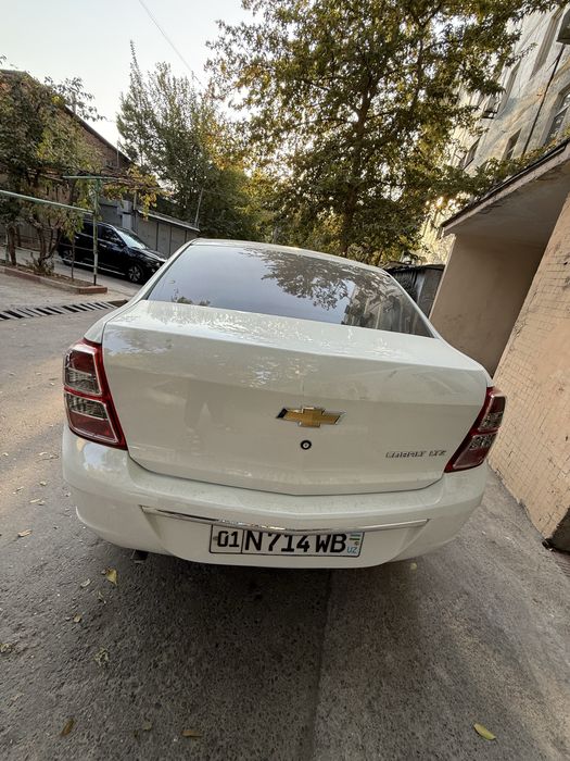 Cobolt 2024 4 pozitsiya 25000km