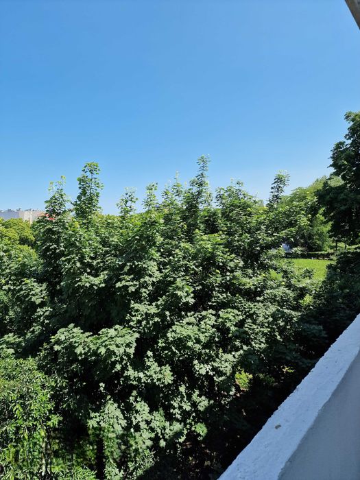 Zona City Park Mall - Tomis 3