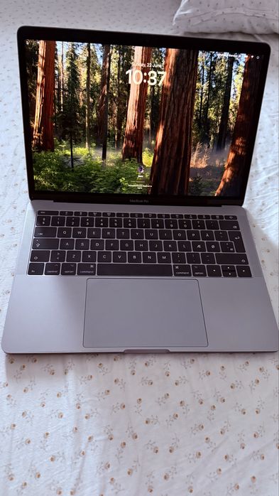 Vand Macbook pro 2017
