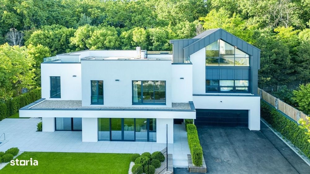 Vila superba la liziera padurii | Iancu Nicolae | Brtitish School |