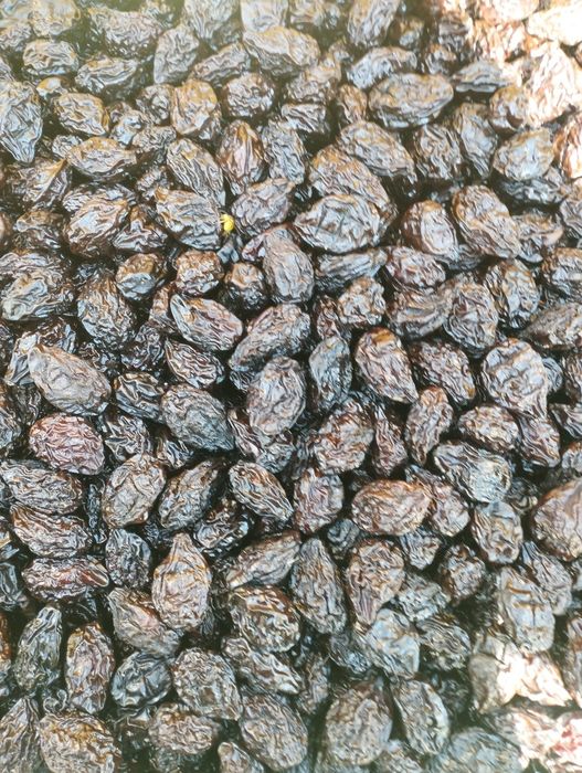 Prune uscate fără fum producție 2025 calitate superioara