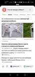 Продаётся собака Ретвирер альбинос