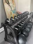 Дъмбели Technogym