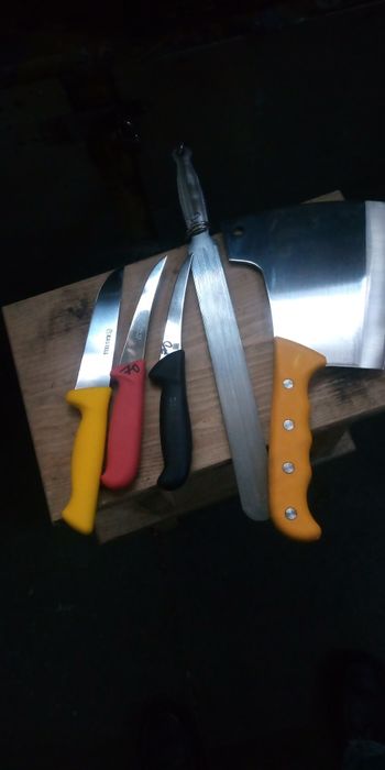 Satare pt tomcat carne