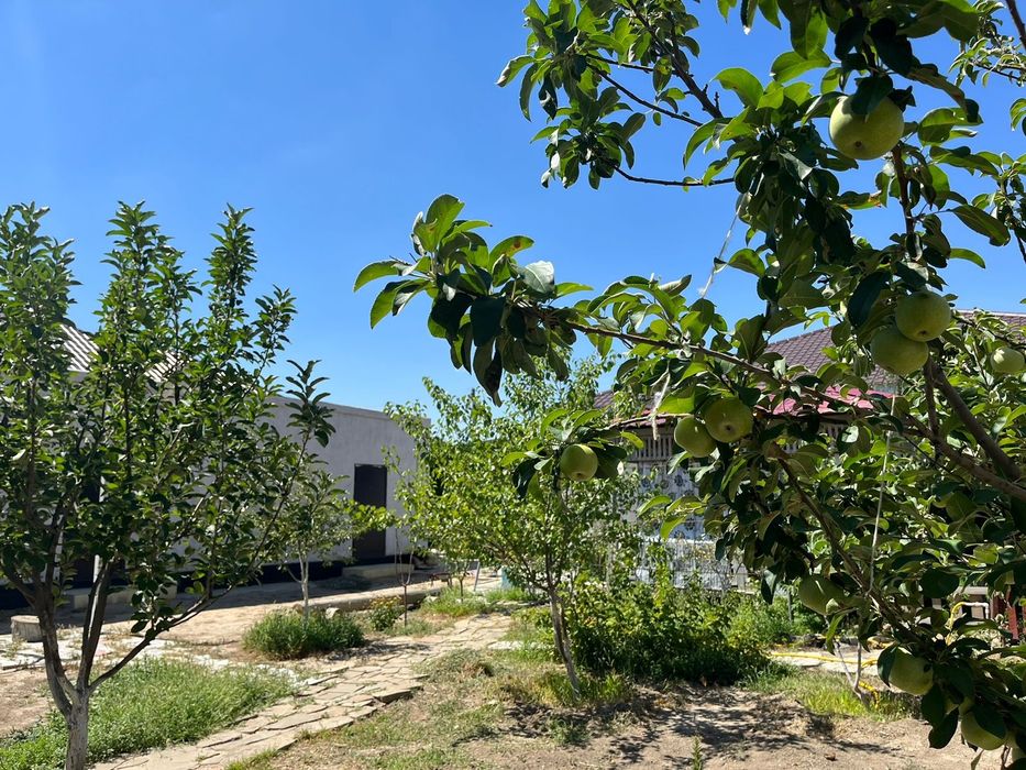 Продам дом со двором