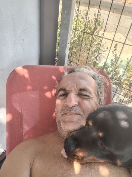 Pensiune canina Oradea