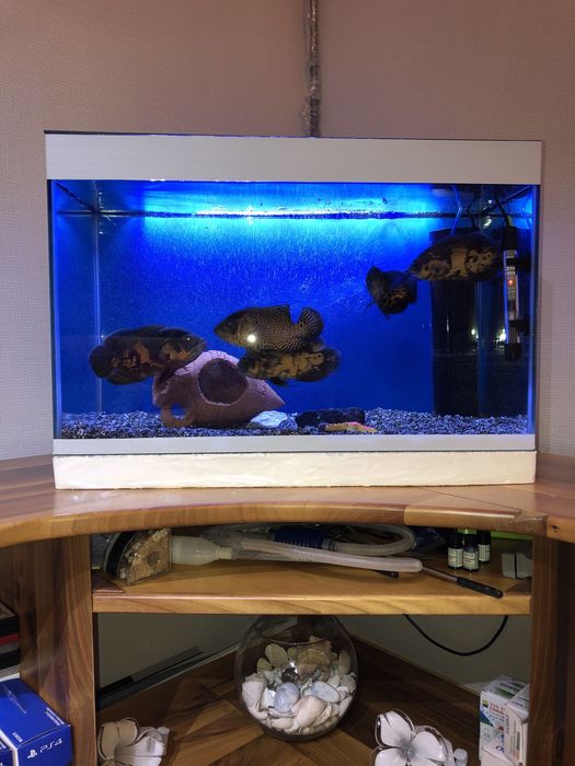 Продам комплект аквариум