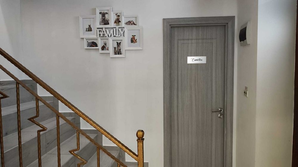 Afacere la cheie cabinet veterinar Brasov concept unic in Romania