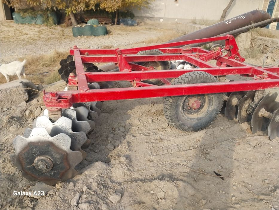 Диска барана сфатли