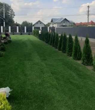 Gazon Rulou Sisteme de irigare si insamantare