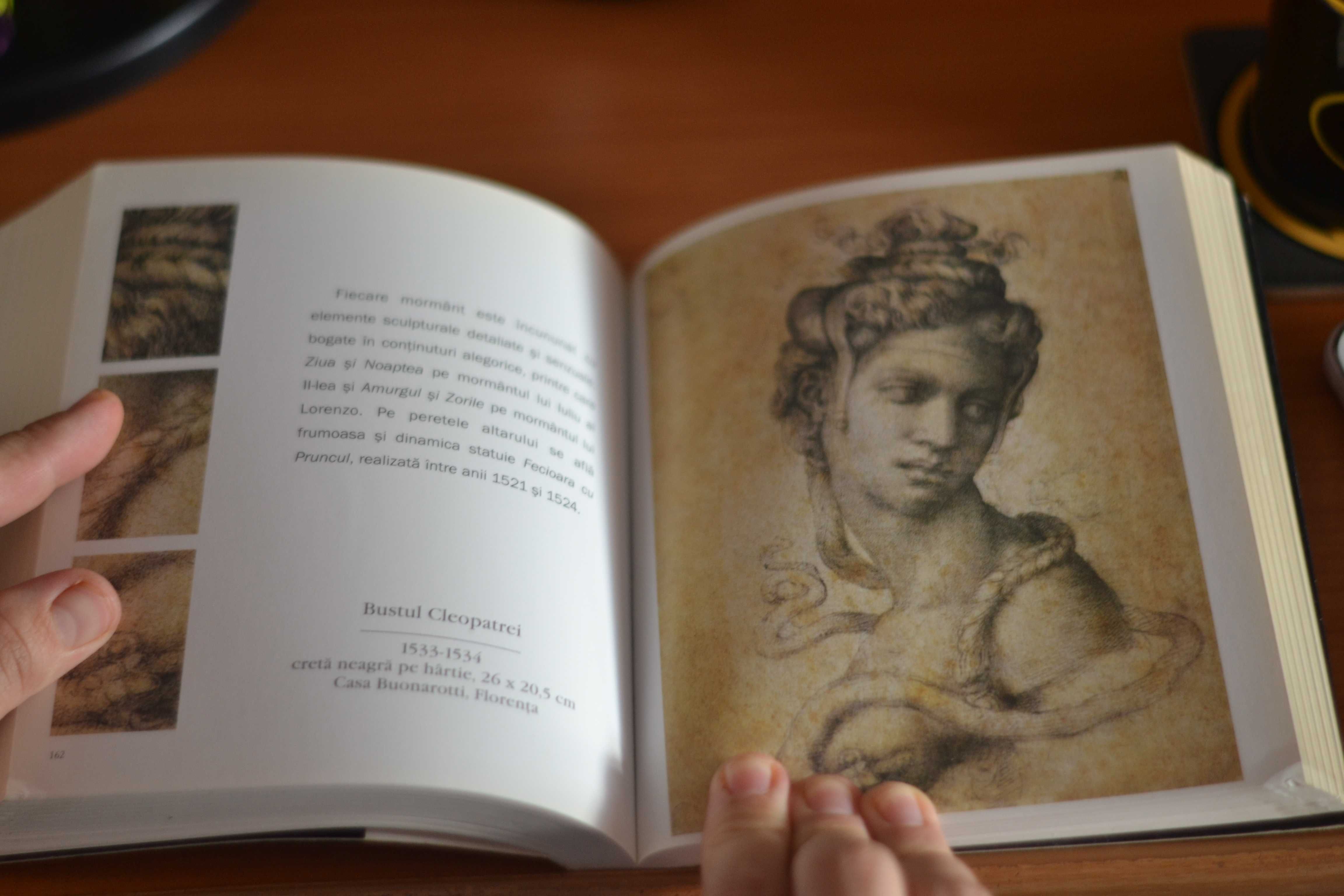 Carte: Michelangelo Buonarotti (Editura Aquila)