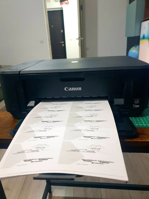 Imprimantă Canon PIXMA MG2250