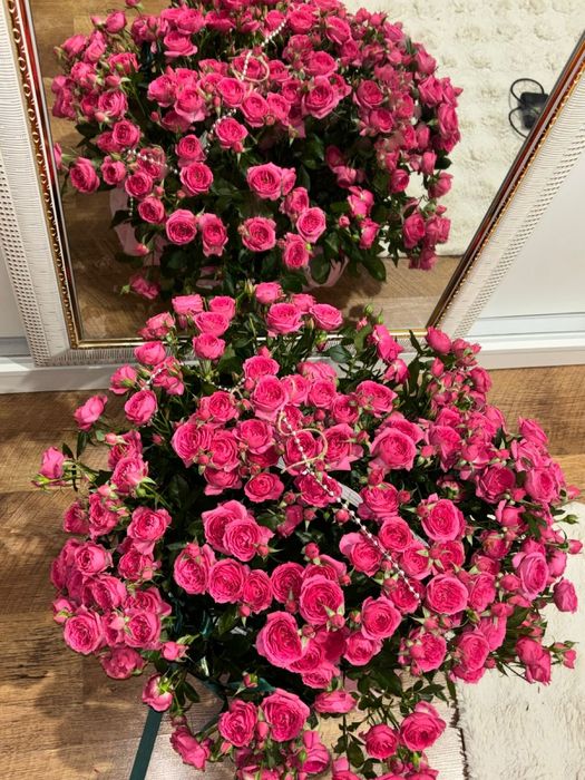 Продам свежие цветы