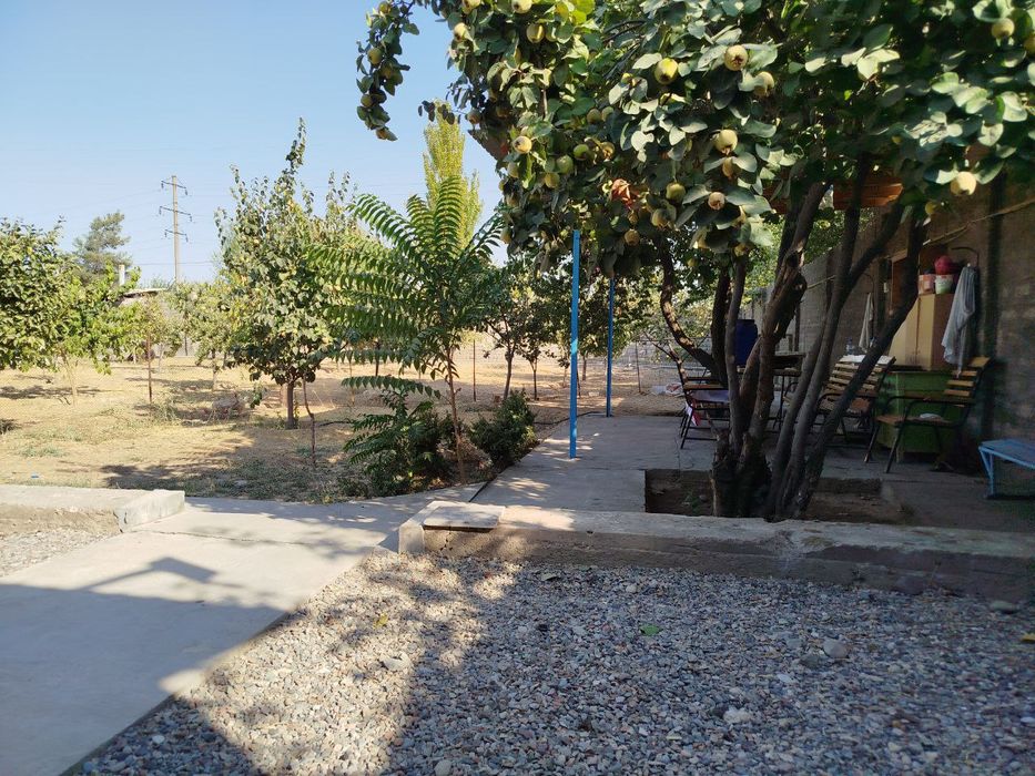 Yer sotiladi arayda. Beshbarmo nomer-1km o'tganda