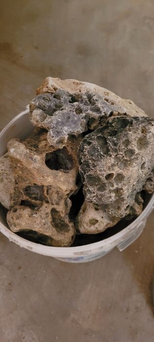 Vând pietre calcaroase de decor pentru acvariu sau terariu