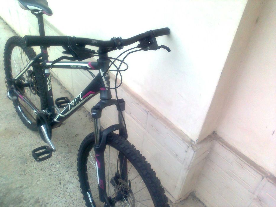 KTM Penny Lane Disc Original