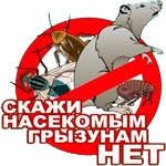 Дезинфекция скажем насекомым грызунам нет чистка от микробов звоните!