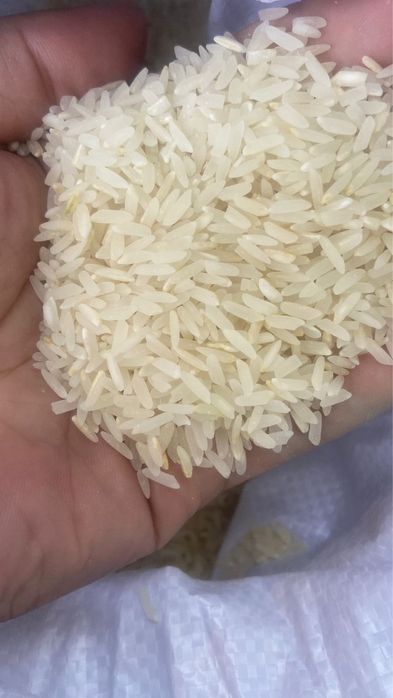 Продаю рис лазер