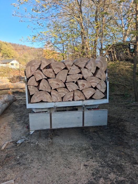 Sc depozit vinde lemne de foc esență tare fag uscat sau verzi