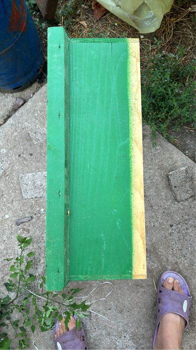 Vand cuti stupi albine