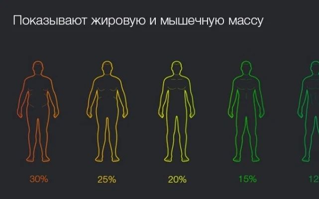 Xiaomi / Весы /  Mi Body Composition scale 2