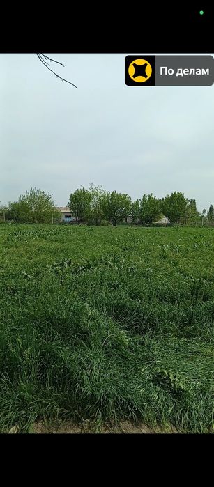 Ижарага Уй Урта Чирчик туманида