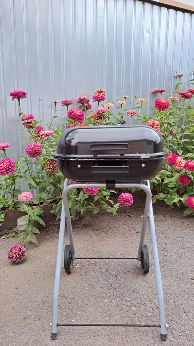 Гриль угольный с шампурами и стартером.СРОЧНО!