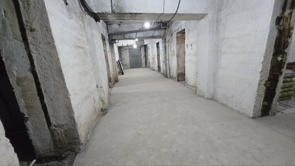 Помещение в центре города под зоогостиницу, хостел, игровой клуб