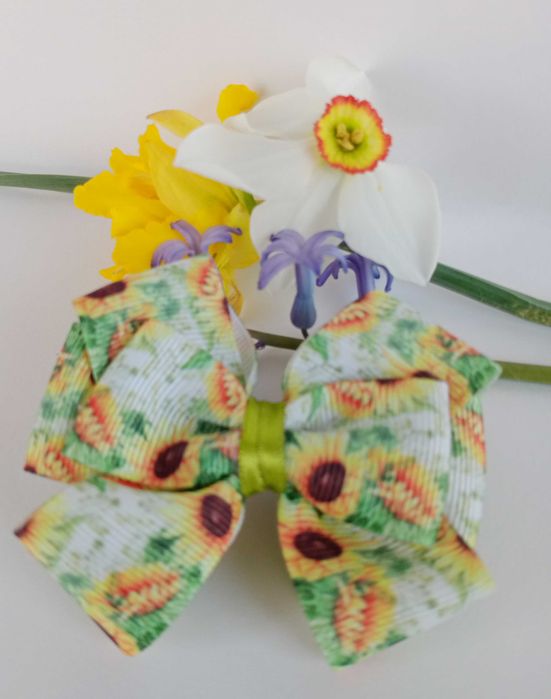 Clămițe pt fetițe