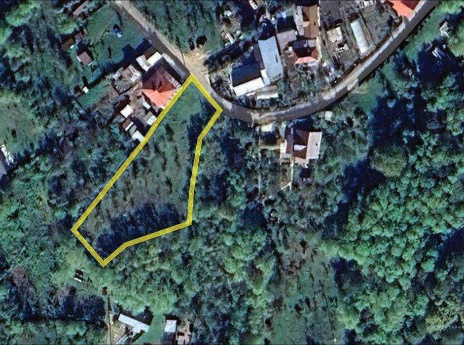 Teren de vanzare Comuna Valcanesti, la baza padurii, 1946 mp.