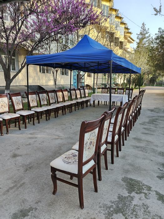 Prokat Stol Stul ARZON Naves Prakat Stol Stul Arenda Прокат ijaraga