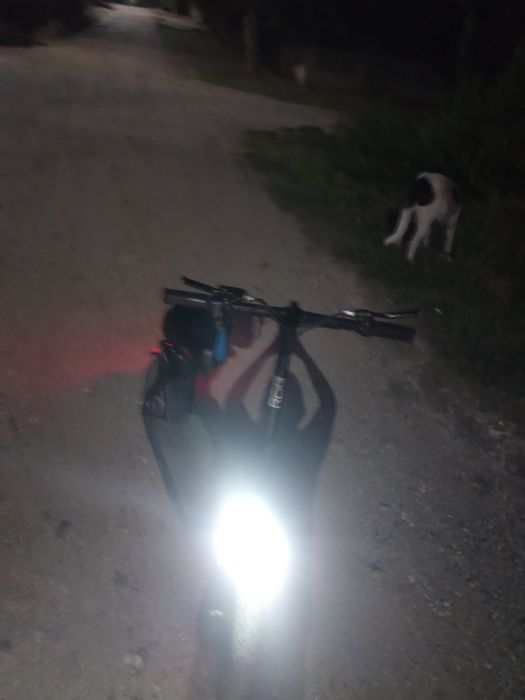 Scuter de vânzare