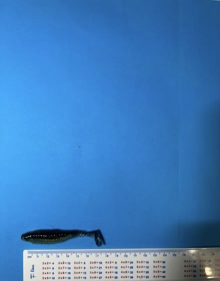 Тамъки - DeepFiish