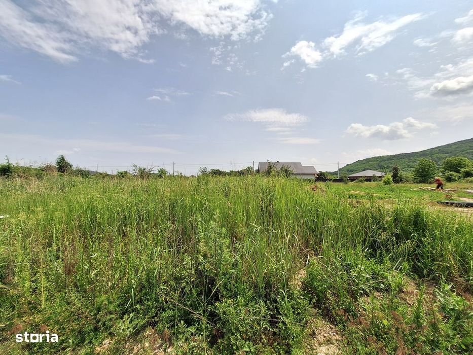 Teren intravilan 800mp cu 38m deschidere-Hemeiusi,Bacau