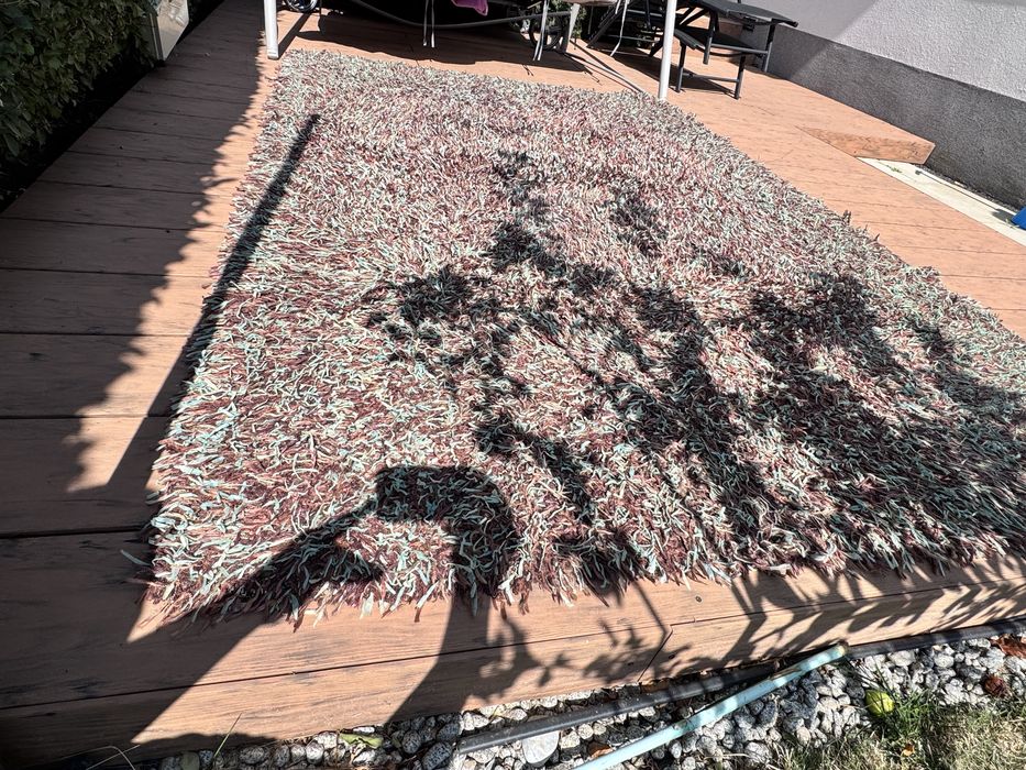 Килим Stepevi 200х290