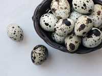 Яйца от пъдпъдъци оплодени , носачки , клетки за пътпъдъци и люпене
