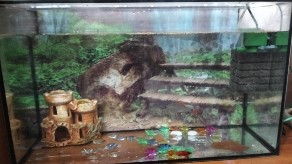 Продам аквариум с двумя рыбками. Срочно!!!