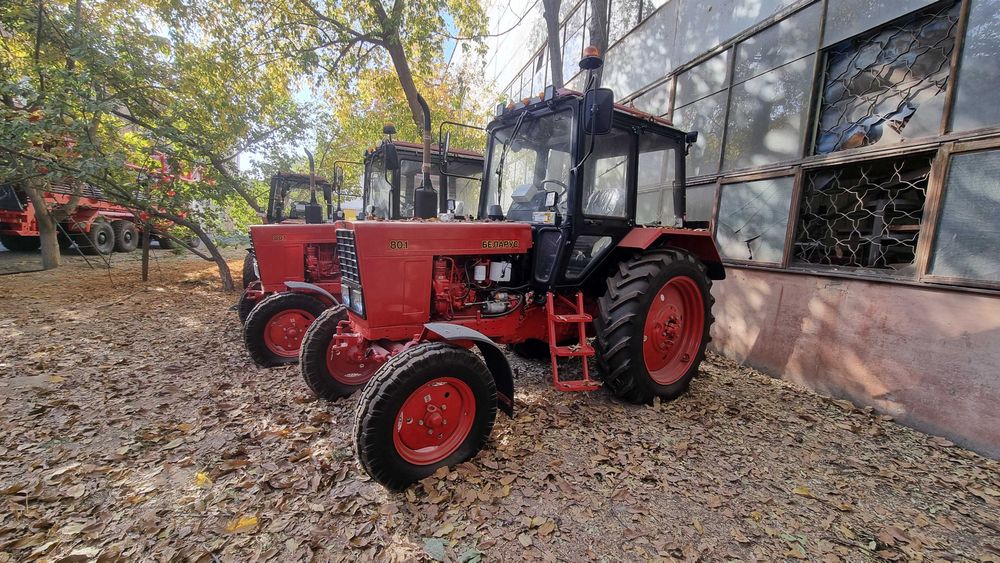 Трактор Беларусь 80.1
