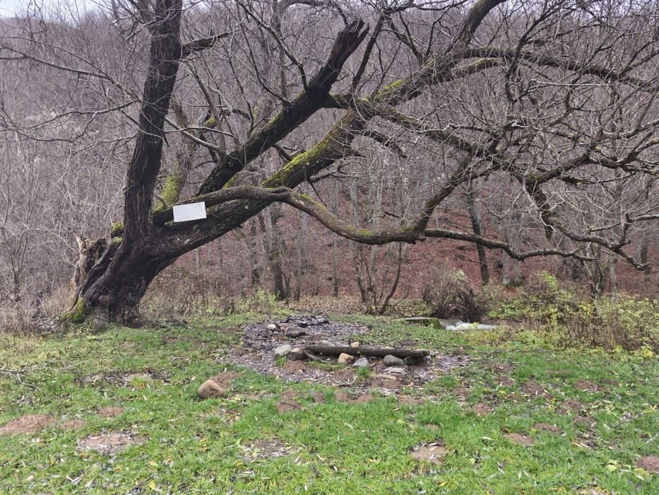 След извора на Струма над Боснек - продавам имот 2,5 дка