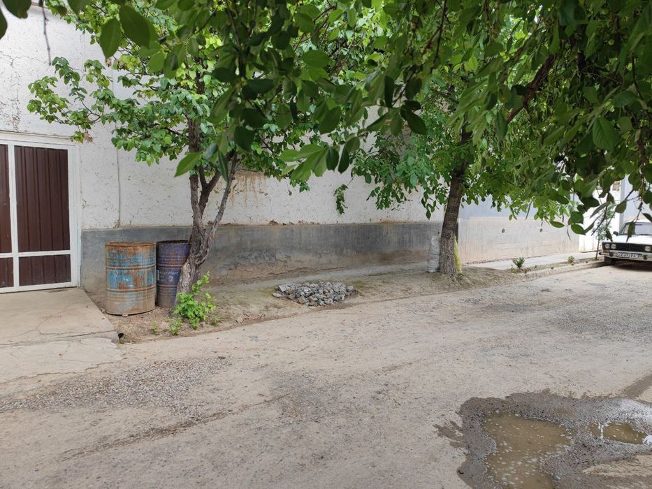 Срочна срочна сотаман Нарх келишамиз. Узимизники