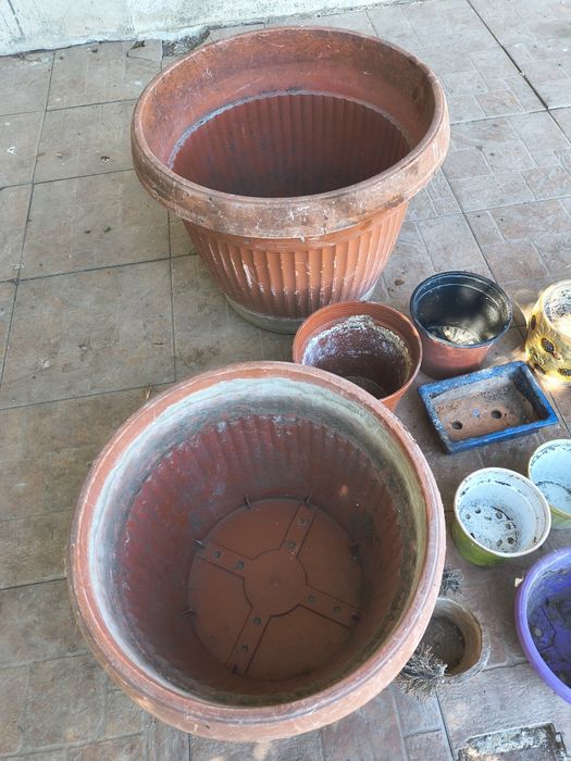 Много саксии употребявани