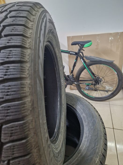 Nokian hakkapeliitte