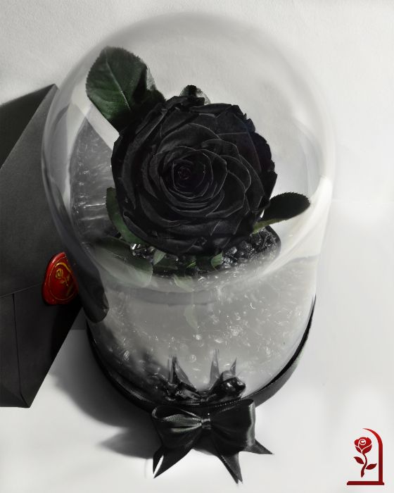 Естествена ЧЕРНА Вечна Роза в Стъкленица / Оригинален Подарък за Жена